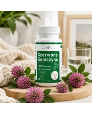 Czerwona koniczyna – izoflawony na okres menopauzy