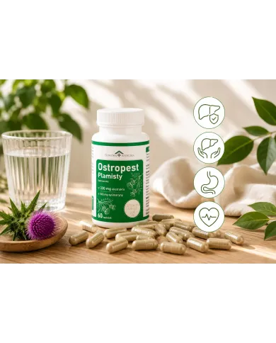 Ostropest plamisty – 265 mg sylimaryny na wątrobę