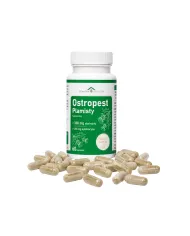 Ostropest plamisty – 265 mg sylimaryny na wątrobę