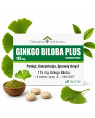Ginkgo Biloba + witaminy B – wsparcie pamięci i koncentracji
