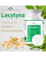 Lecytyna – wsparcie mózgu, pamięci i wątroby