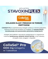 Stavoxin Flex Kolagen – zdrowe stawy, kości i chrząstki