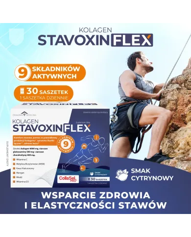 Stavoxin Flex Kolagen – zdrowe stawy, kości i chrząstki