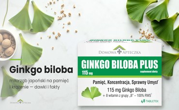Ginkgo biloba — na co pomaga, dawkowanie, dla kogo