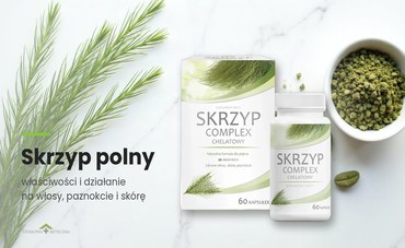 Skrzyp polny — właściwości, działanie na włosy i paznokcie